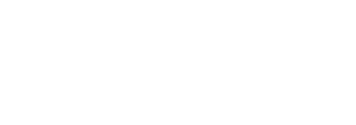 Boii